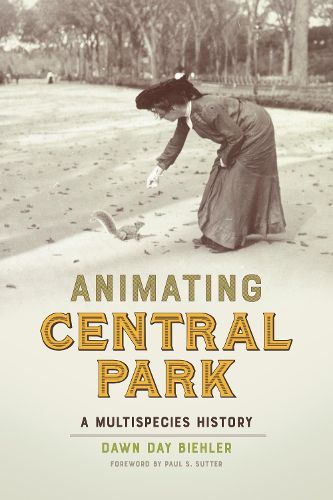 Cover image for Animating Central Park