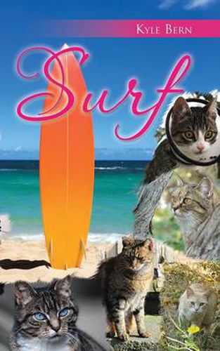 Cover image for Surf