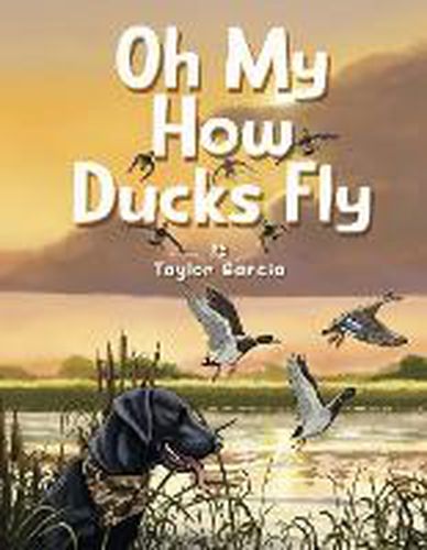 Cover image for Oh My How Ducks Fly