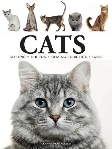 Cover image for Cats