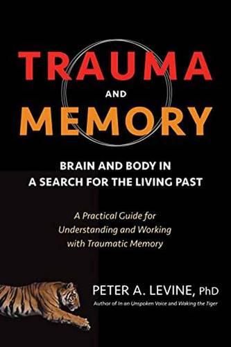 Cover image for Trauma and Memory