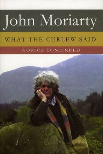 What The Curlew Said: Nostos  Continued