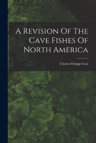 Cover image for A Revision Of The Cave Fishes Of North America