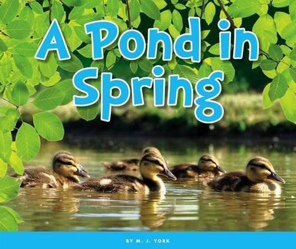 Cover image for A Pond in Spring