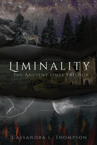 Cover image for Liminality