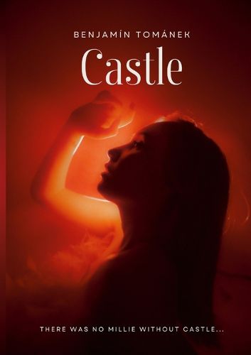 Cover image for Castle