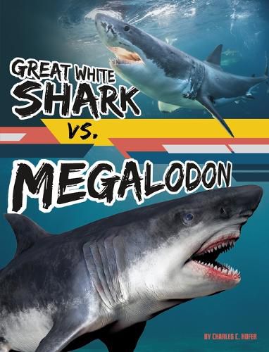 Great White Shark vs. Megalodon