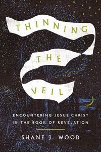 Cover image for Thinning the Veil