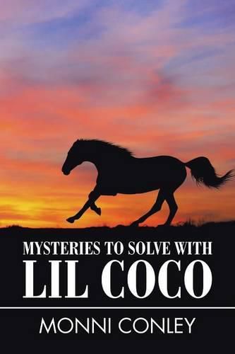 Cover image for Mysteries to Solve with Lil Coco