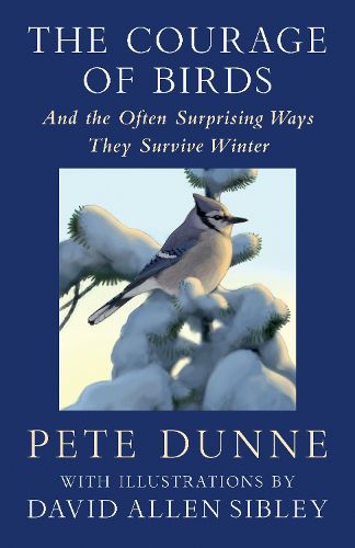 Cover image for The Courage of Birds