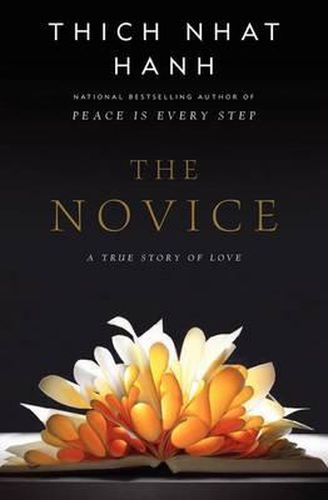 Cover image for The Novice: A Story of True Love