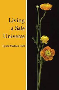 Cover image for Living a Safe Universe: A Book for Seth Readers