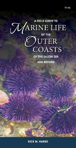 Cover image for A Field Guide to Marine Life of the Outer Coasts of the Salish Sea and Beyond