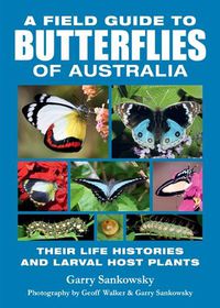 Cover image for Field Guide to Butterflies of Australia: A Comprehensive Guide Featuring Over 350 Species