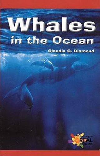 Cover image for Whales in the Ocean