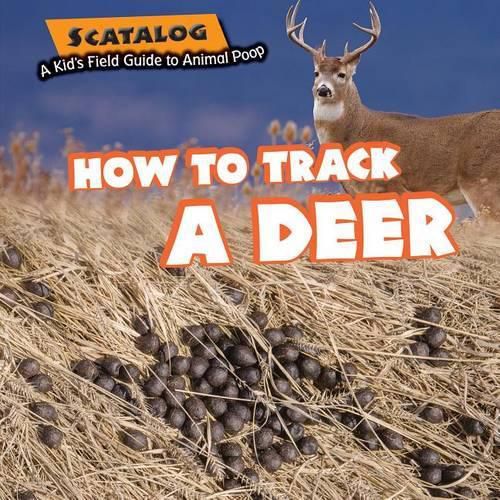 Cover image for How to Track a Deer