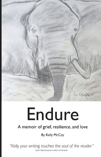 Cover image for Endure