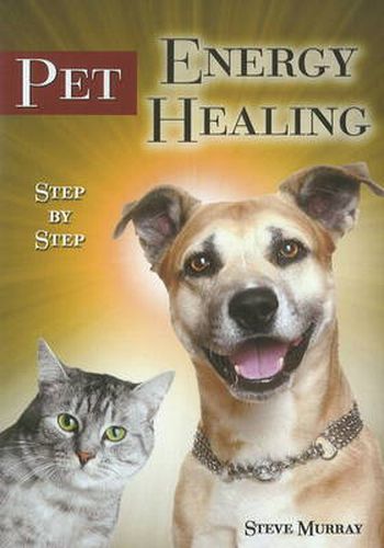 Cover image for Pet Energy Healing DVD: Step-by-Step