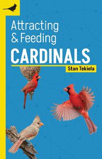 Cover image for Attracting & Feeding Cardinals