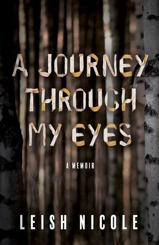 Cover image for A Journey Through My Eyes