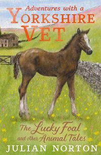 Cover image for Adventures with a Yorkshire Vet: The Lucky Foal and Other Animal Tales