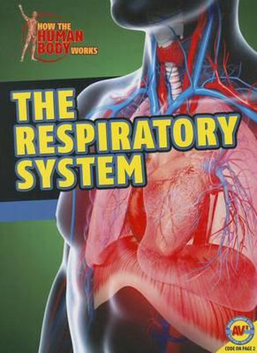 Cover image for The Respiratory System