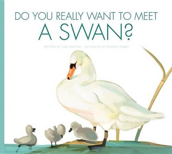 Cover image for Do You Really Want to Meet a Swan?