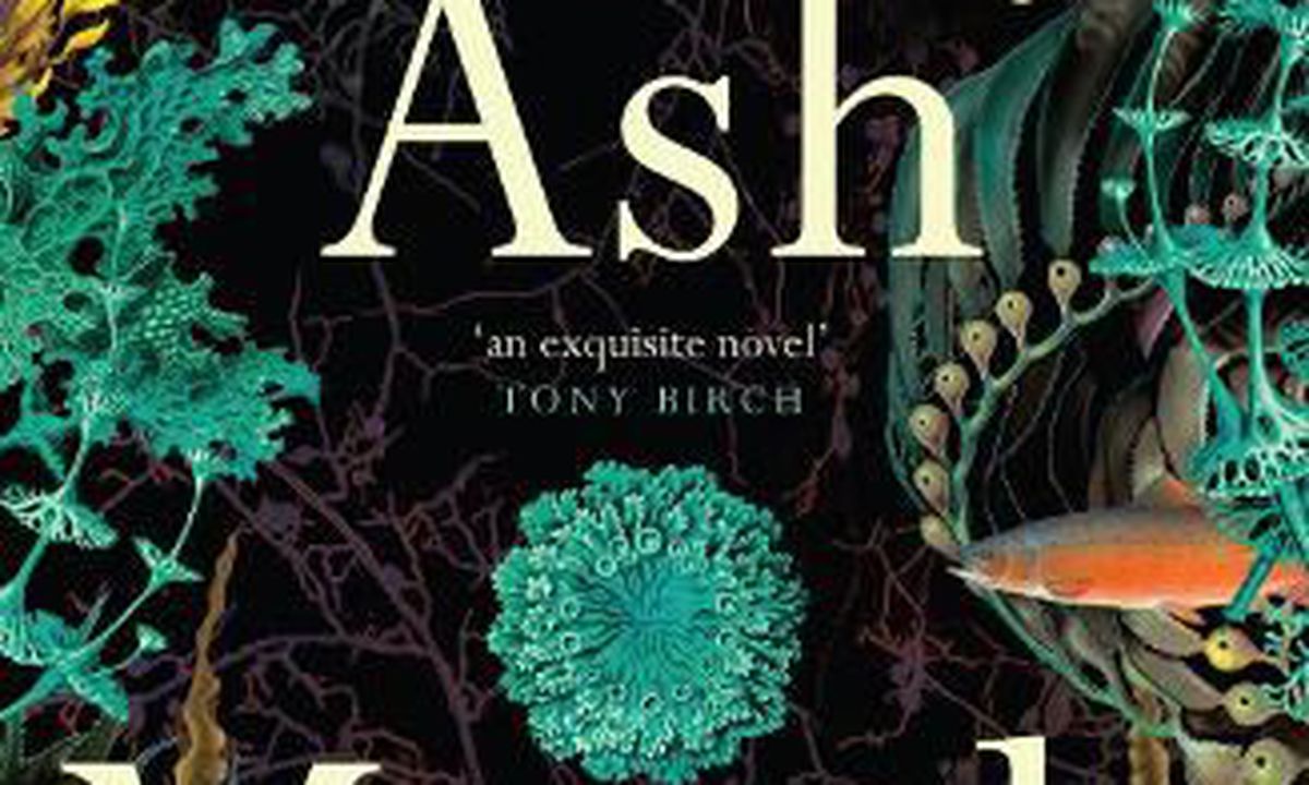 Booked out: Mantle by Romy Ash — Readings Books