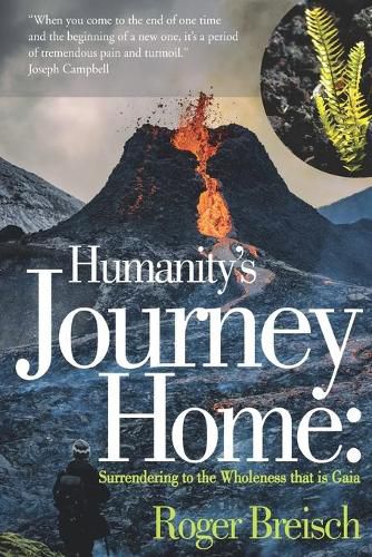 Cover image for Humanity's Journey Home: Surrendering to the Wholeness that is Gaia