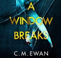 Cover image for A Window Breaks