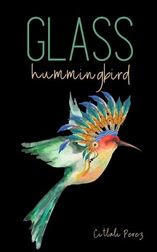 Cover image for Glass hummingbird