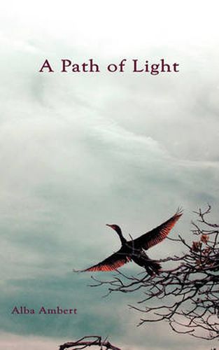 Cover image for A Path Of Light