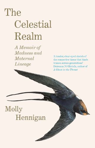 Cover image for The Celestial Realm: SHORTLISTED FOR THE SUNDAY INDEPENDENT NEWCOMER OF THE YEAR IRISH BOOK AWARDS