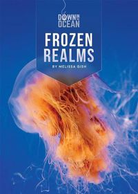 Cover image for Frozen Realms