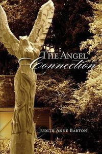 Cover image for The Angel Connection