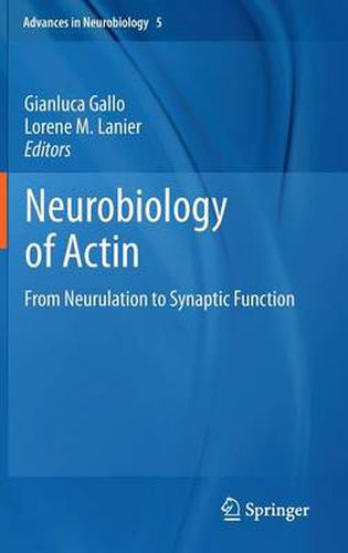 Cover image for Neurobiology of Actin: From Neurulation to Synaptic Function