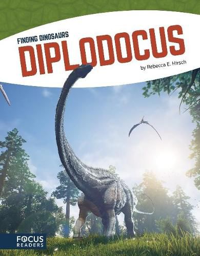 Finding Dinosaurs: Diplodocus