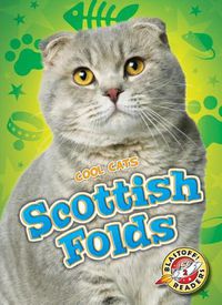 Cover image for Scottish Folds