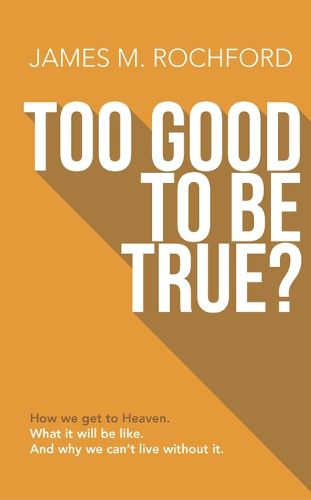 Cover image for Too Good to Be True