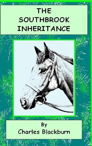 Cover image for The Southbrook Inheritance