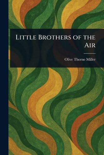 Cover image for Little Brothers of the Air