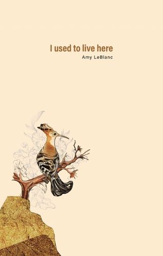 Cover image for I Used to Live Here