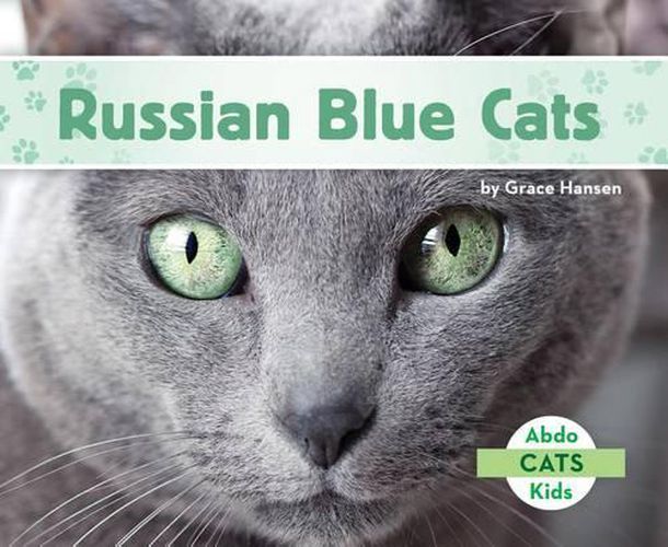 Cover image for Russian Blue Cats