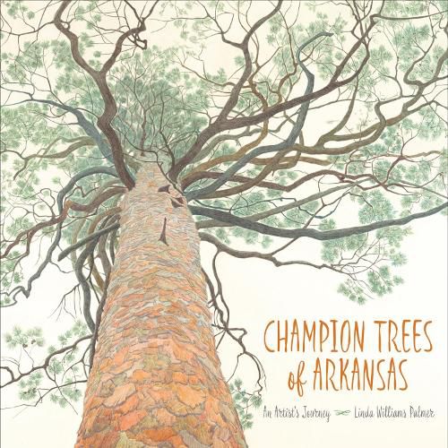 Cover image for Champion Trees of Arkansas: An Artist's Journey