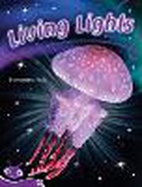 Cover image for Bug Club Level 19 - Purple: Living Lights (Reading Level 19/F&P Level K)