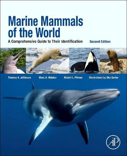 Cover image for Marine Mammals of the World: A Comprehensive Guide to Their Identification