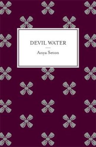 Cover image for Devil Water