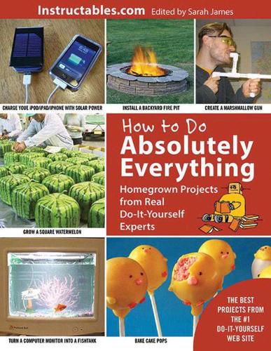 Cover image for How to Do Absolutely Everything: Homegrown Projects from Real Do-It-Yourself Experts