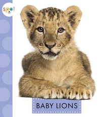 Cover image for Baby Lions