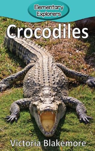 Cover image for Crocodiles